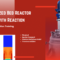 Fluidized Bed Reactor