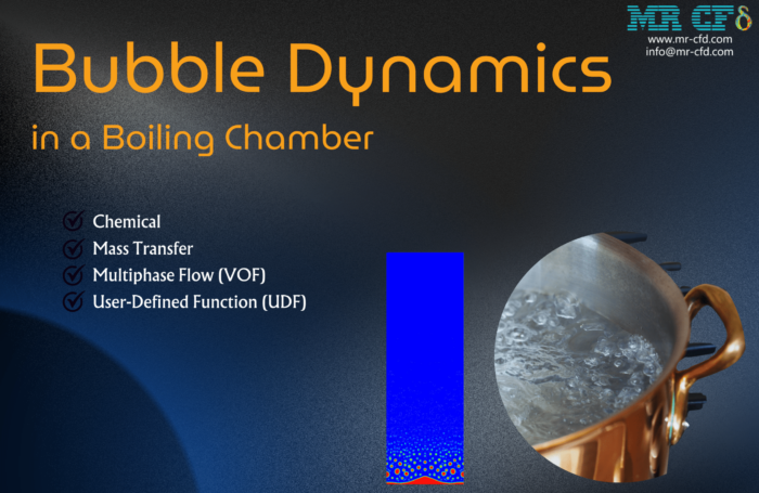 Bubble Dynamics