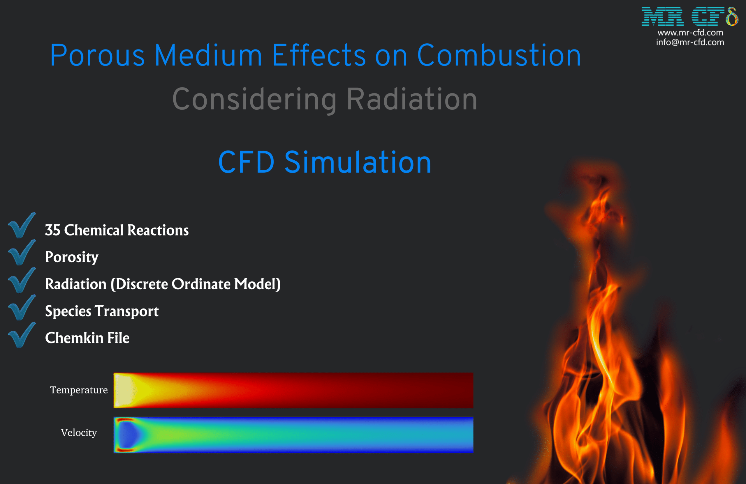 Porous Medium Effects on Combustion Considering Radiation CFD Simulation