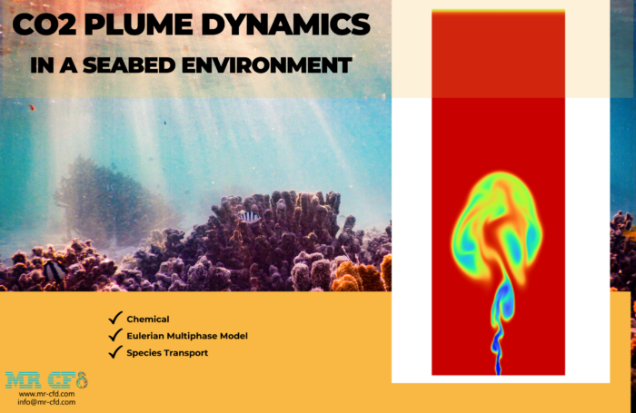 Plume Dynamics