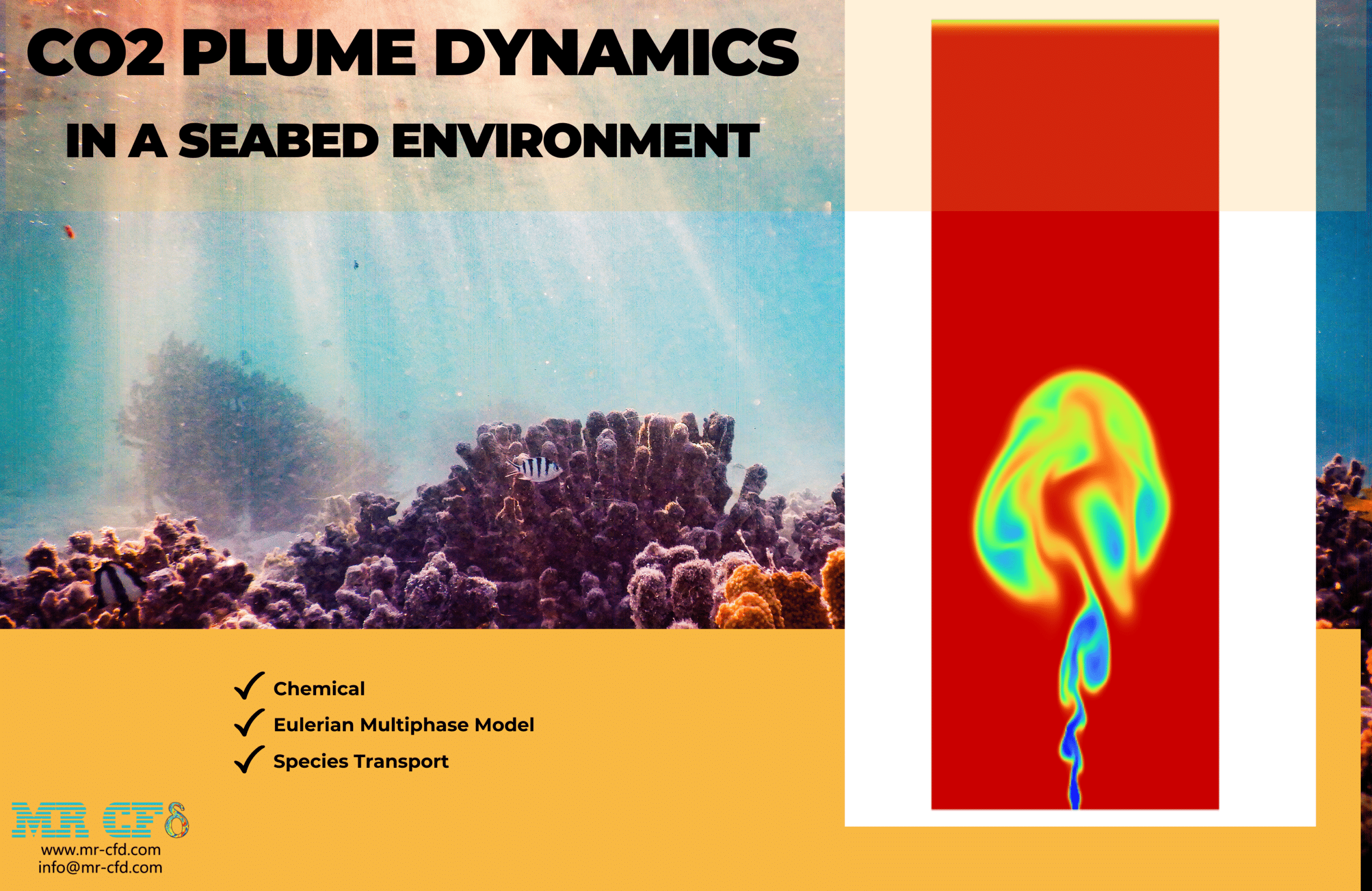 CO2 Plume Dynamics in a Seabed Environment