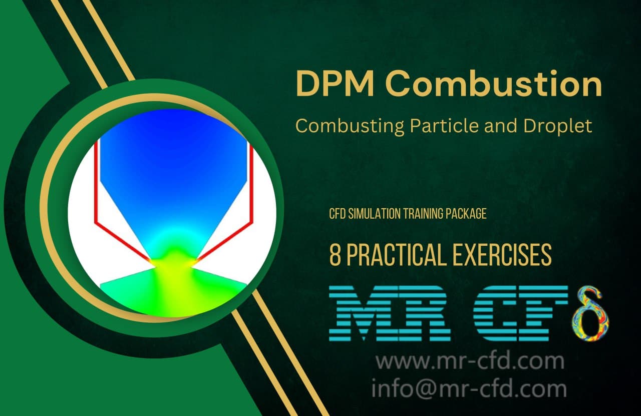 DPM Combustion: Combusting Particle and Droplet, 8 Practical Exercises