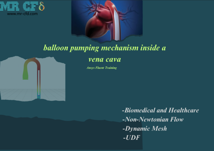 Balloon Pumping Mechanism Inside A Vena Cava